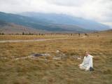 6. Suho polje